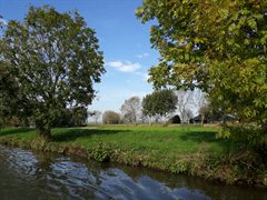 Bomen langs de Gekanaliseerde Hollandsche IJssel