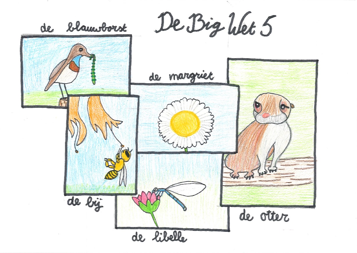 Tekening Wet Five gr7-8 DeNijepoort