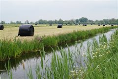 Slootkant en ronde balen-kooijman Kamerik